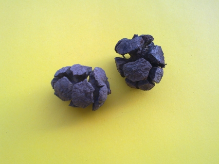 P013       3ks