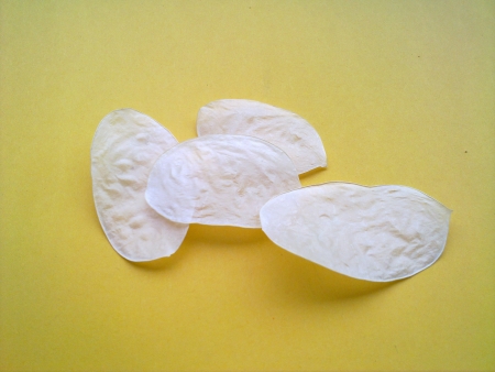 P025     15ks