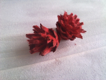 P067    5ks