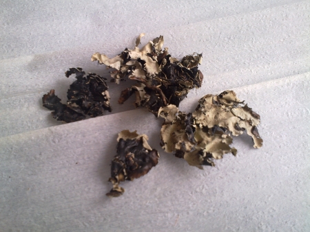 P075     10g