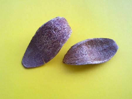 P011       5ks