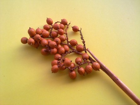 P042     1v�tvi�ka