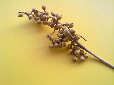 P041   1v�tvi�ka