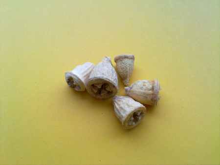 P053    20ks