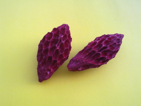 P021      2ks
