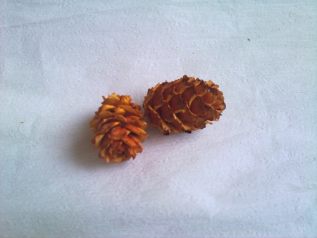 P073   10ks