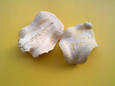 P034    1ks