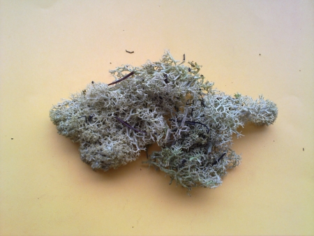 P079      20g